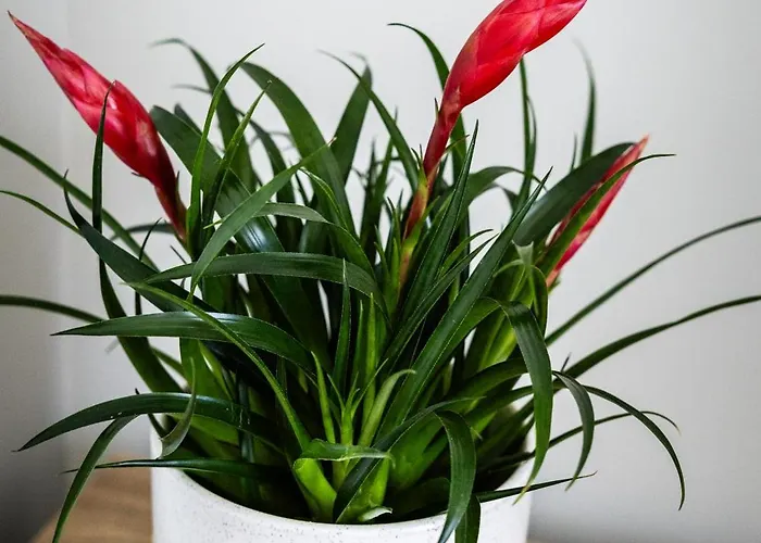 Апартаменты La